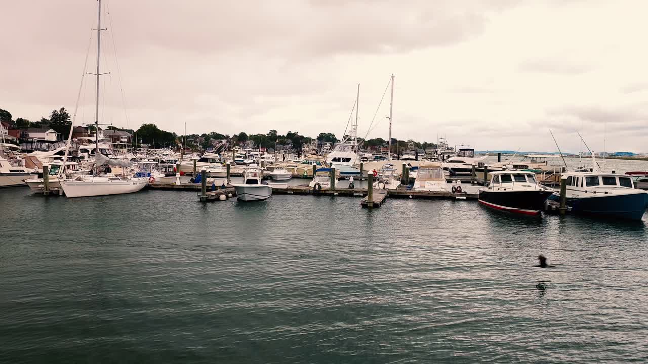 Atlantis Marina a Winthrop, Massachusetts, con barche a vela, condomini e un'anatra che vola sull'acqua