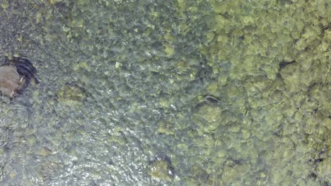 drone flotando sobre un hermoso río turquesa claro