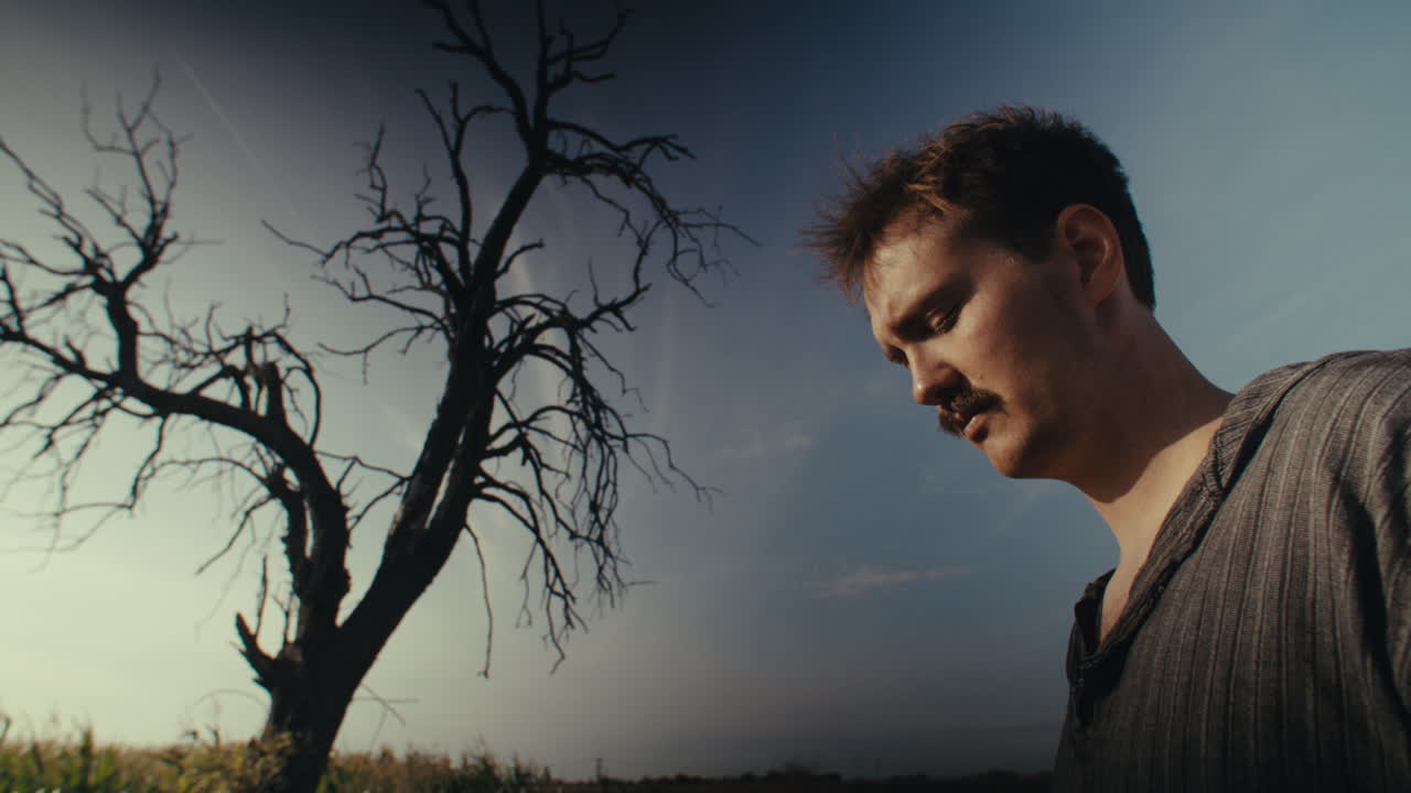 A Man and a Dead Tree under a Dramatic Sky