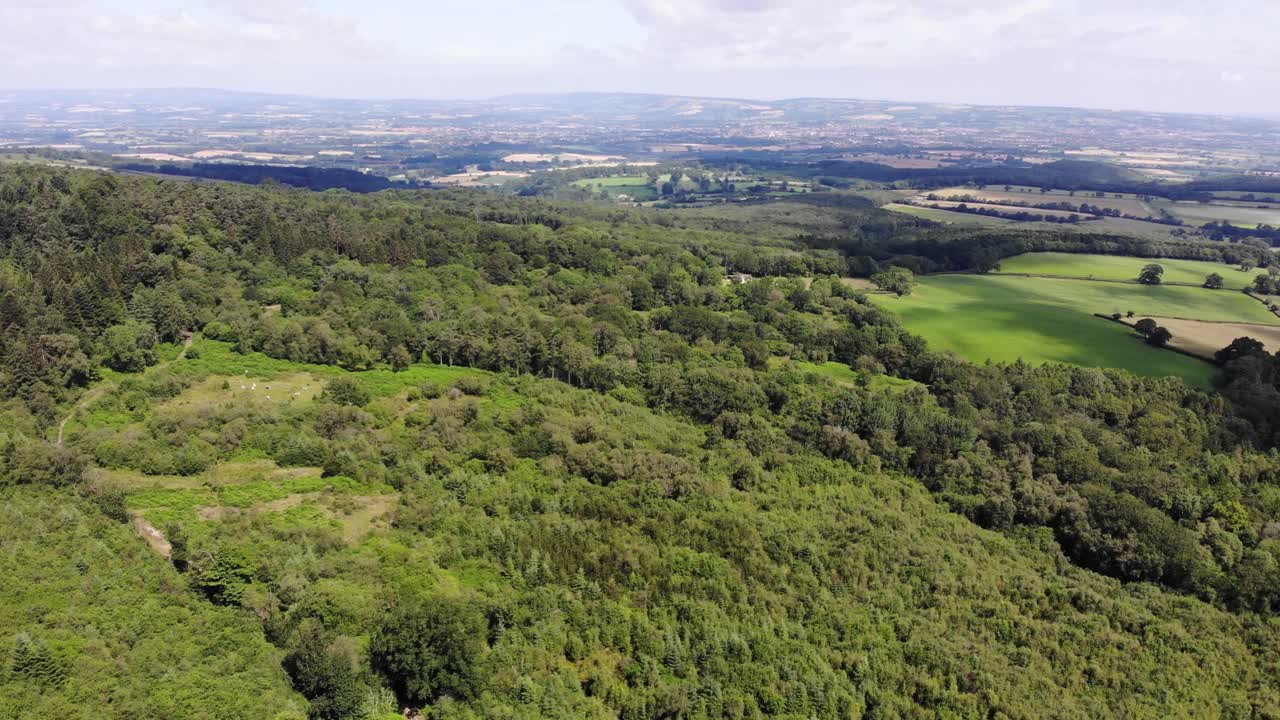 Expansive aerial view showcasing the verdant forested expanse of Staple Hill in Blackdown Hills, capturing the serene beauty and vibrant greenery of the countryside landscape.