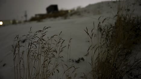 Nachtzeit-Weht-Schilf-Im-Schnee