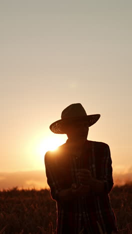 farmer at sunset in wheat field