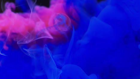 slow motion video of pink and blue watercolor ink mixing in water against black background