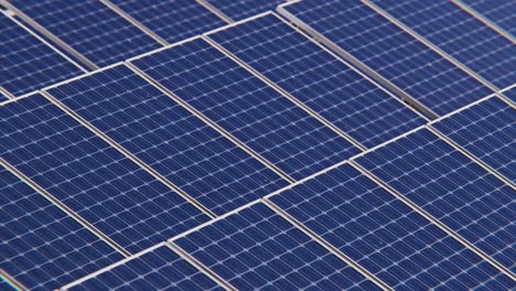 paneles solares perfectamente dispuestos uno al lado del otro para convertir la energía solar