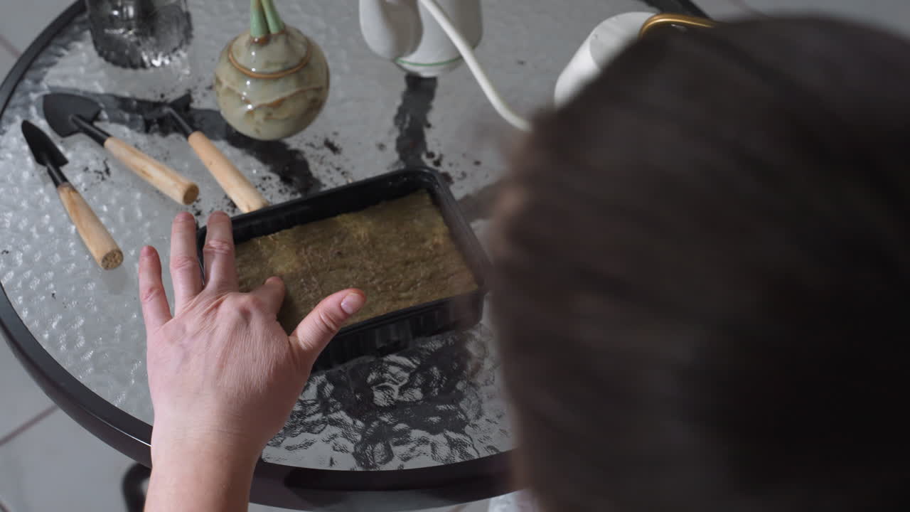 Homemaker pressing seed medium with fingertip while watering from slender spout into plastic container on glass table nurturing plant care ritual highlighting meticulous indoor gardening technique
