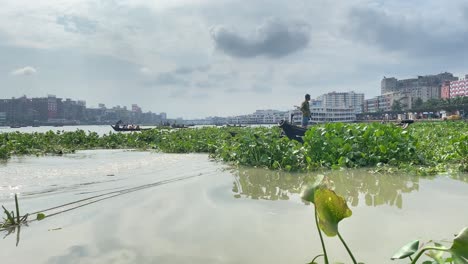 fisherman on small boat in buriganga river, surrounded by water hyacinth in dhaka, bangladesh