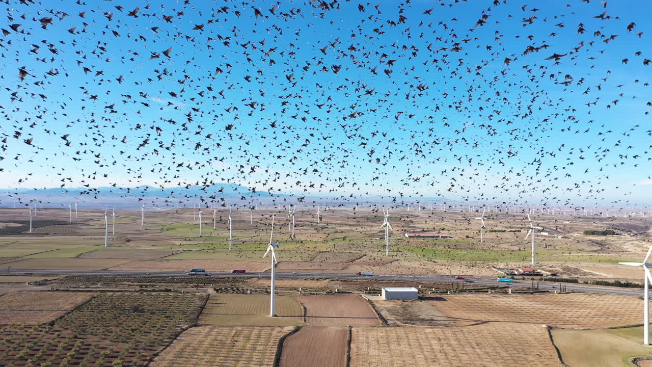 큰 조류 무리가 공중에서 볼 수 있는 풍력 터빈 공장 스페인 녹색 에너지 희귀
