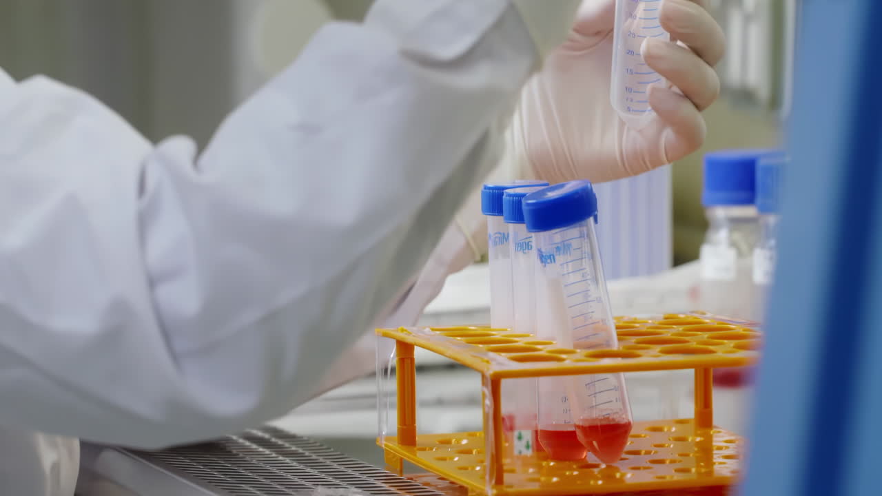 Research lab, Scientist or researcher transferring Solution Samples into Test Tubes flasks with Suction Pipette for cell culture assay in biological cabinet on in cleanroom environmental facility