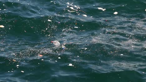 plastic and other debris in the ocean