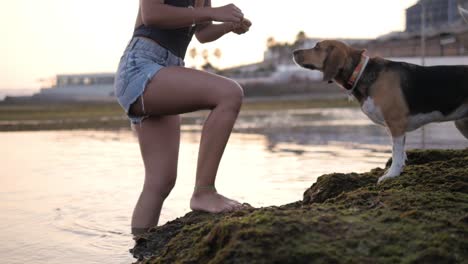 slow motion of a girl playing with her dog on the beach in cascais, portugal