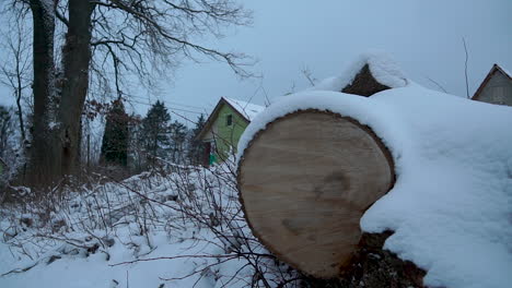 Un-árbol-Talado-Cubierto-De-Nieve-Yace-En-La-Calle-Cerca-De-Las-Casas-De-La-Finca,-A-Cámara-Lenta