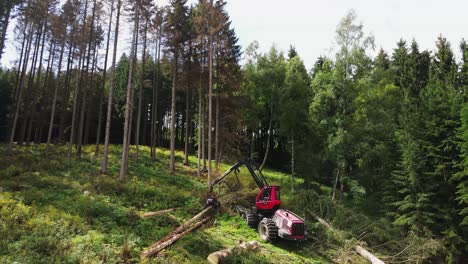 Forest-log-truck-tree-harvester-working,-woodcutter,-industry-cut-wood