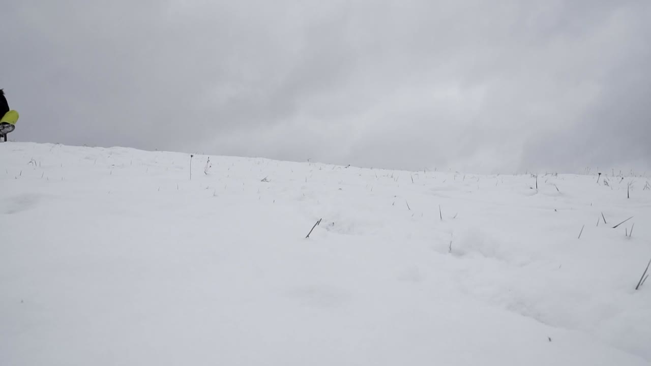 женщина на санях едет вниз по склону статичный кадр