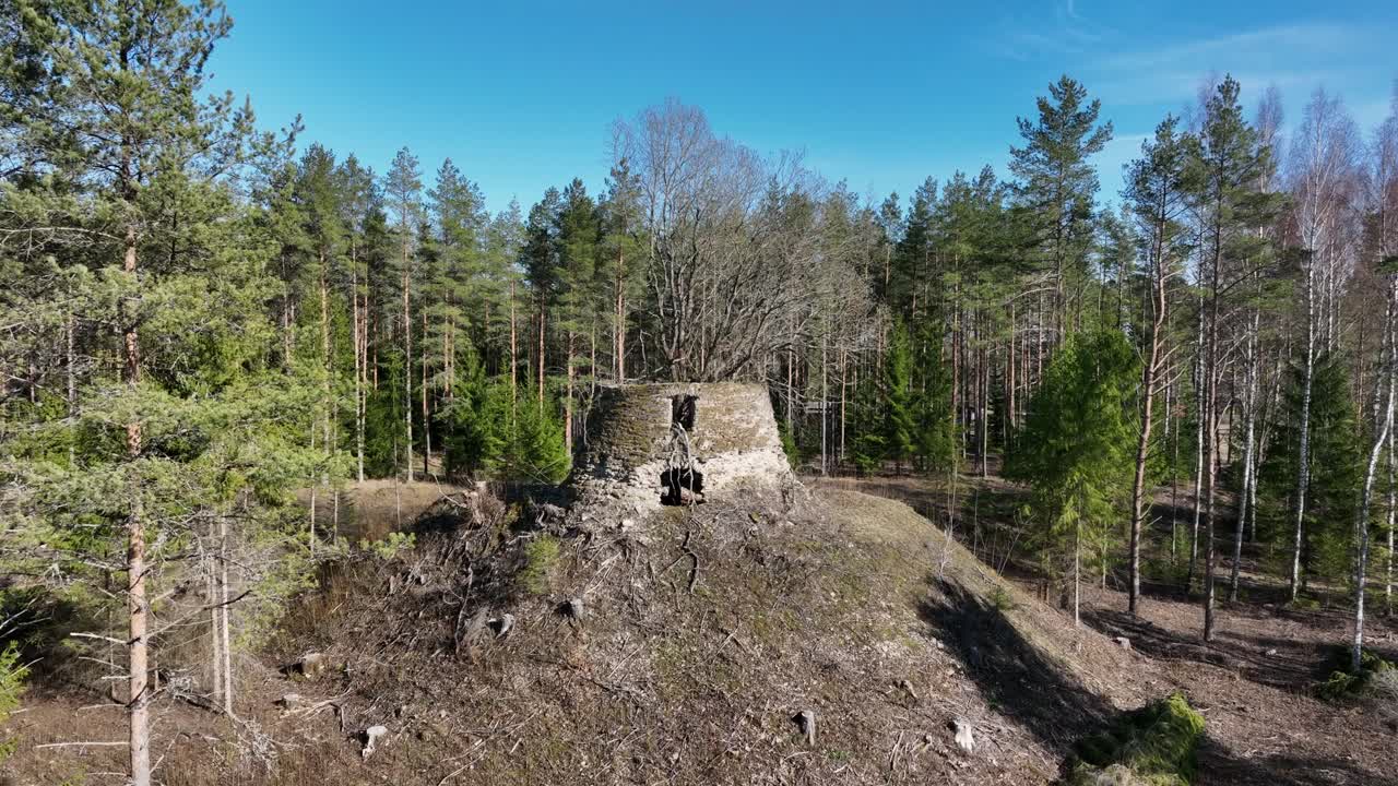 vista general de un molino de viento en ruinas dentro del cual los árboles han comenzado a crecer. aldea de samma, estonia.