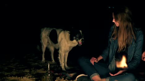 attractive caucasian woman feeding cute dog sitting by the bonfire late at night. closeup of kind woman's hand with piece of sausage and face of playful dog