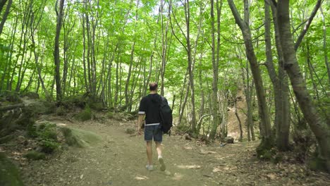 traveler adventurer walking in an unknown forest.