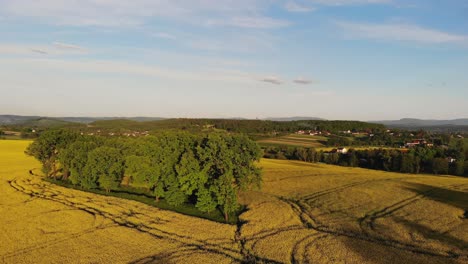 Beautiful-landscape-blooming-yellow-rapeseed-flowers-in-Southern-Poland