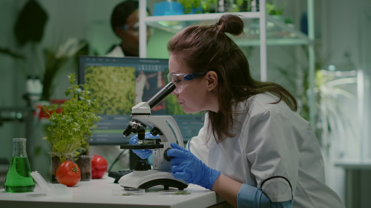 Scientist doctor analyzing botanical plants under microscope