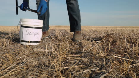 person taking a soil sample from the field, medium shot