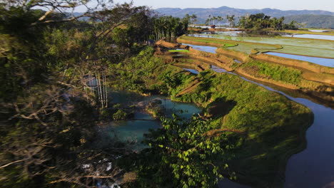 flying towards terraced rice fields near weekacura waterfall in sumba island, indonesia