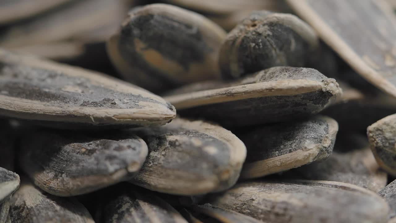 태양꽃 씨의 근접 촬영