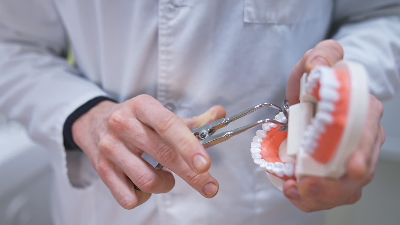 Dentist demonstrating dental tools on a model jaw