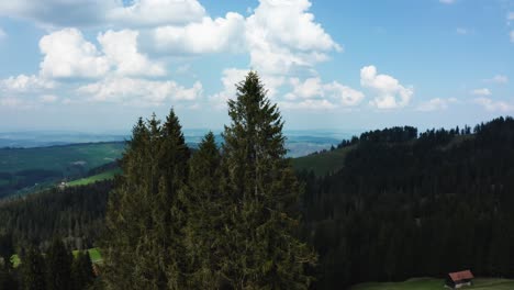 aerial view of single windmill in the swiss countryside behind pinetrees, renewable energy from wind power turbines