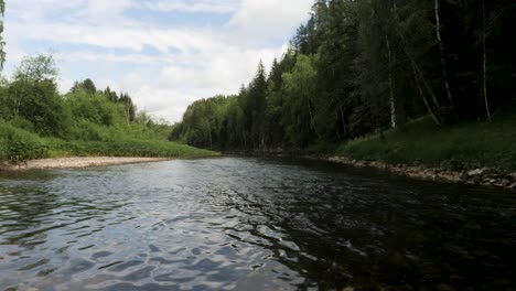 river flowing through a lush forest