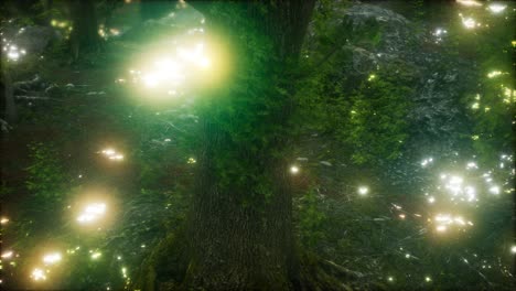 firefly flying in the forest