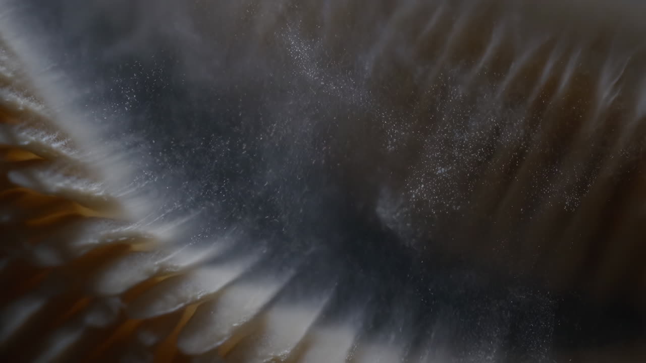 Abstract Close-up of Textured Surface with Floating Particles