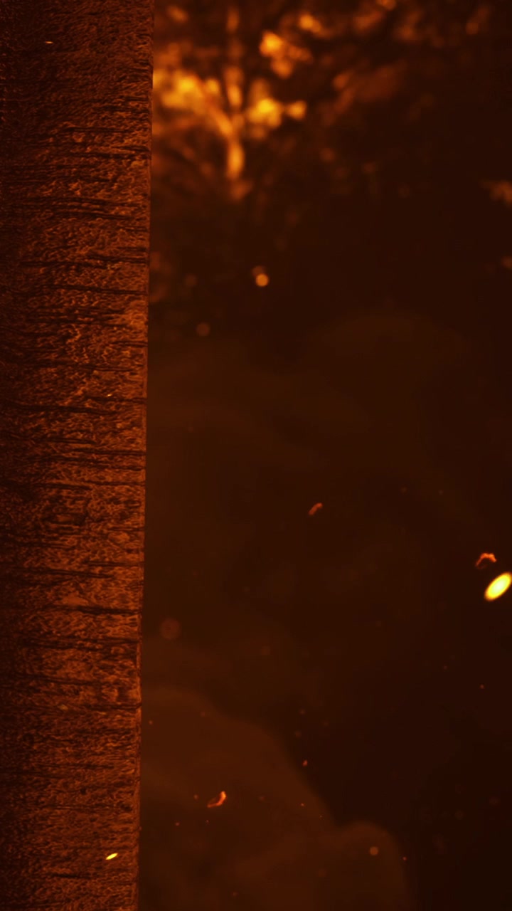 Fire burning on a tree with sparks flying in the night sky