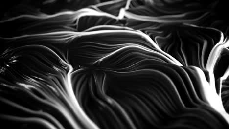4k abstract muscle tissue.