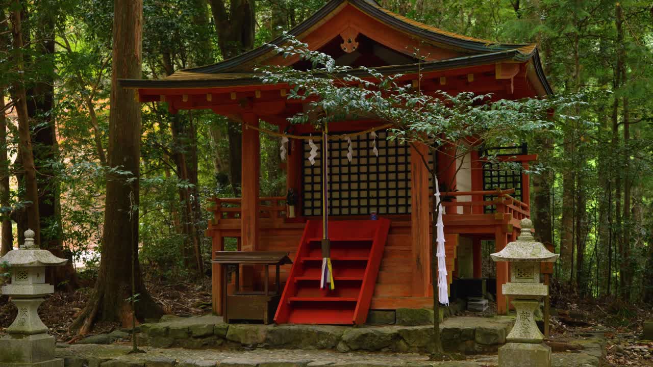 estático, santuario entre árboles, kumano kodo japón