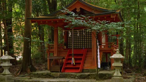 static, shrine amongst trees, kumano kodo japan