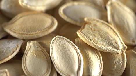 pumpkin seeds close up.