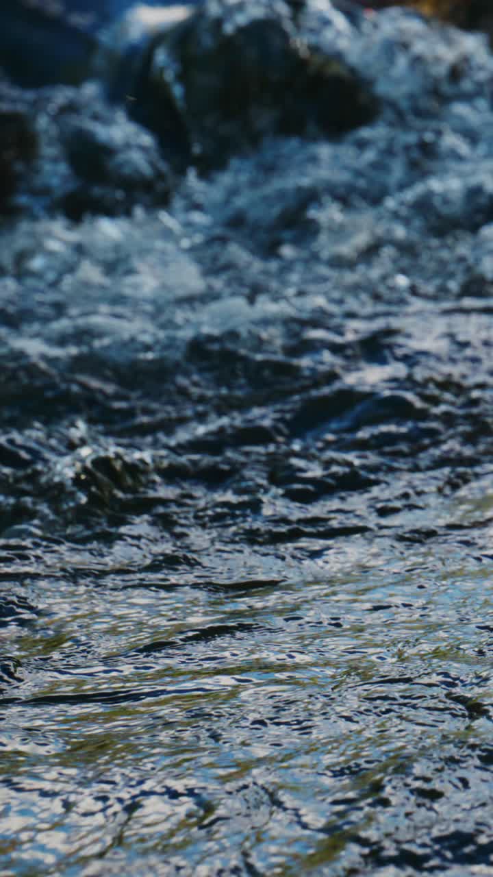 Primo piano di acqua cristallina che scorre in un ruscello naturale