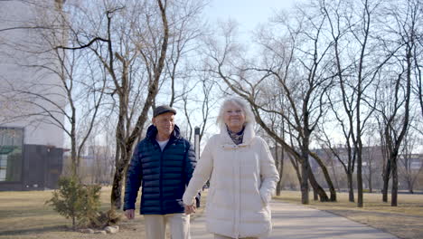 senior couple holding hands, walking and talking in the park on a winter day