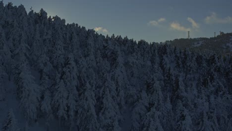 Luftaufnahme---Offenbarung-Der-Sonne-Hinter-Einem-Verschneiten-Wald---Aufnahme-Auf-DJI-Inspire-2-X-7-Raw