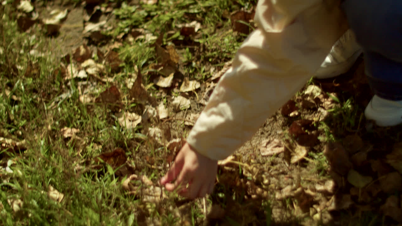 Woman Picking Autumn Leaves