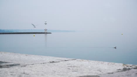 Final-Del-Muelle-De-Bains-Des-Pâquis-Con-El-Faro,-En-El-Puerto-De-Ginebra-|-Final-Del-Muelle-Bain-Des-Paquis,-En-El-Puerto-De-Ginebra.