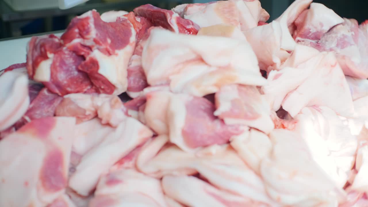 Meat and Onion Preparation in a Food Processing Facility