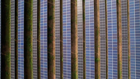 Vista-Aérea-Superior-De-Filas-De-Paneles-Solares-Fotovoltaicos-En-El-Suelo-Que-Muestran-Energía-Renovable-Y-Tecnología-Sostenible