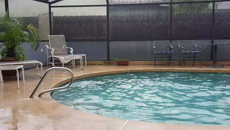 View-of-blue-backyard-pool-steps-with-rail,-lounge-chairs-and-plants-in-background,-Florida