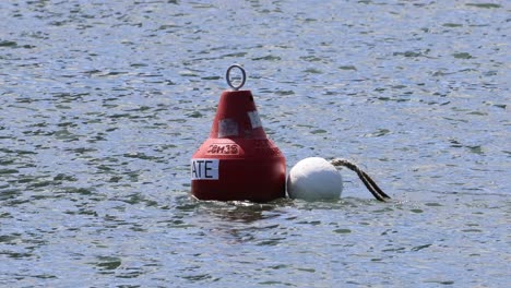 red and white buoys floating on water surface