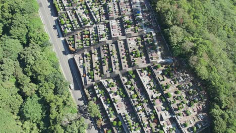 un cementerio tradicional taiwanés enclavado entre la vegetación exuberante y una carretera, aérea