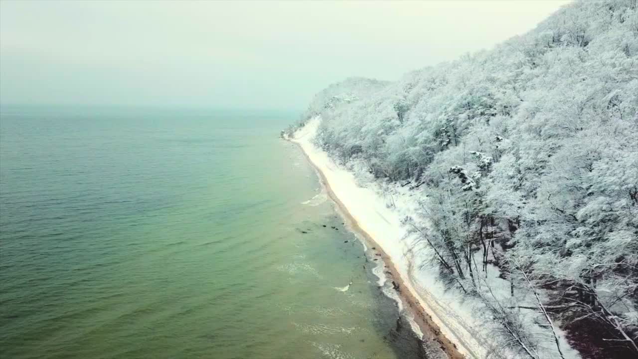 дрон пролетает над морским побережьем возле зимнего леса