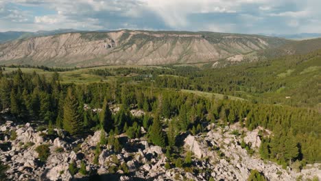 aerial drone orbit over lush green forest with tall trees, rocky landscape and vast mountain scape in the background