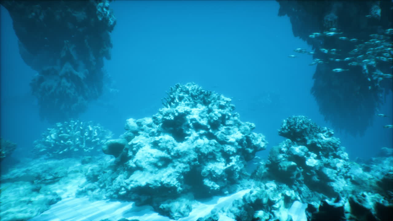 una vibrante escena submarina con una variedad de corales y peces