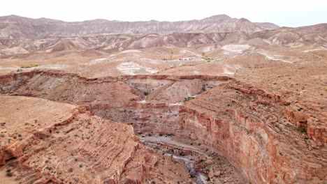 Caballos-Montando-Junto-A-Un-Gran-Cañón-En-El-Desierto