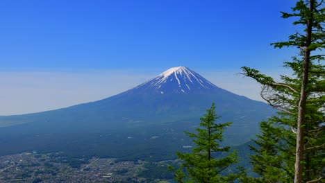 mt. fuji visto desde el paseo verde fresco de shindo